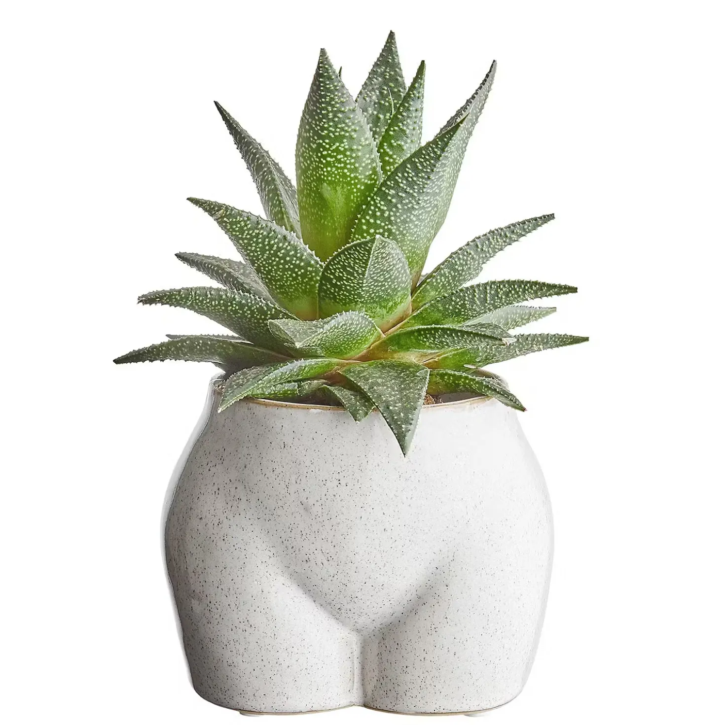 BOTTYBlumentopf