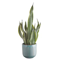CUBIST Blumentopf