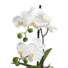 FLORISTA Orchidee im Topf