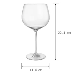 GIN LOVERS Gin Tonic Glas