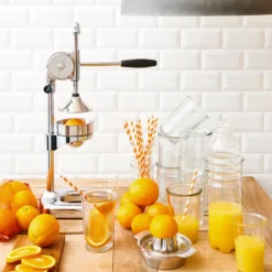 MENUETT Fruchtpresse mit Schale
