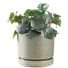 PLANT Pflanztopf mit Teller