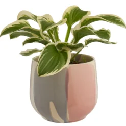 SINTRA Blumenübertopf